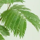 水素吸入