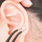 耳つぼ